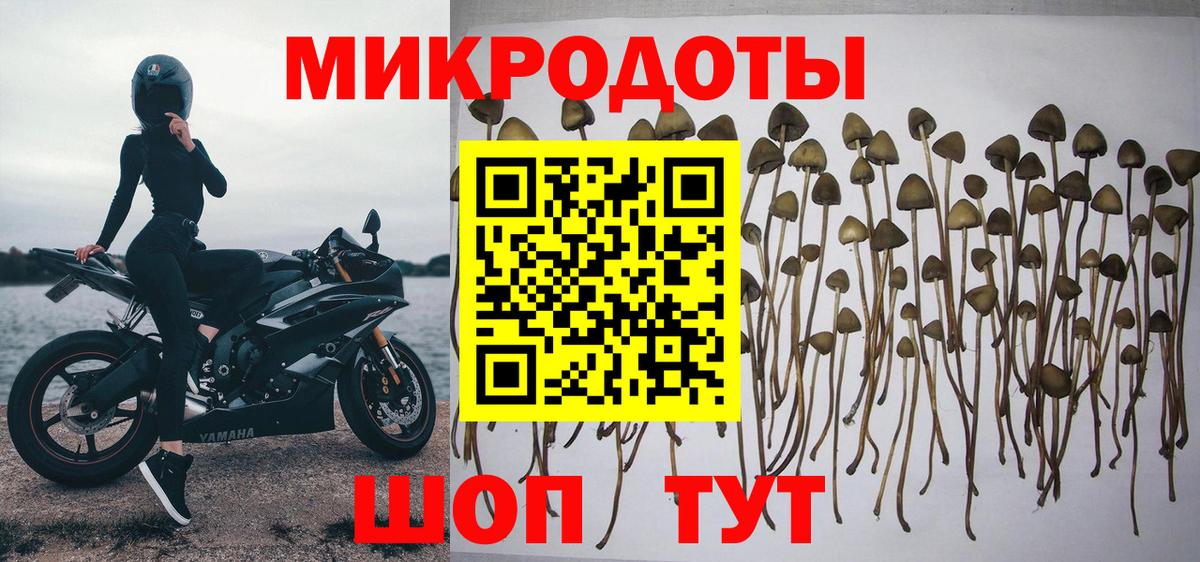Дальнегорск  Галлюциногенные грибы MAGIC MUSHROOMS  Галлюциногенные грибы Cubensis  Вход с VPN 